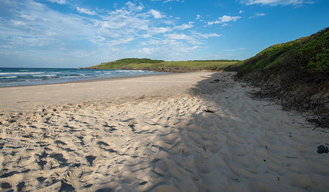 Racecourse Campground - Hotel NSW 2