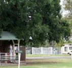 Warialda Caravan Park - Hotel NSW