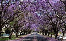 Civic Motel Grafton - Grafton - Hotel NSW 5