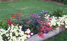 Narromine Tourist Park And Motel - Narromine - Hotel NSW 1