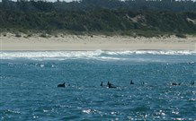 Sussex Shores RSL Units - Sussex Inlet - Hotel NSW 4