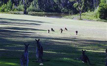 Sussex Shores RSL Units - Sussex Inlet - Hotel NSW 6