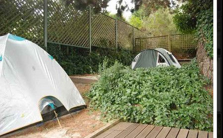 The Flying Fox Backpackers - Hotel NSW 2