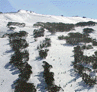 Thredbo Alpine Hotel - Hotel NSW