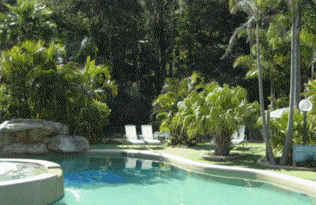 The Palms At Avoca - Hotel NSW 3