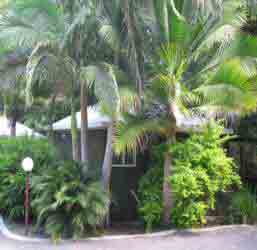 Nambour Rainforest Holiday Village - Hotel NSW 1