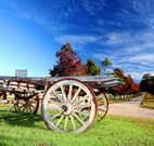 The Oaks Ranch and Country Club - Mossy Point - Hotel NSW