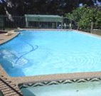 Tree Motel - Narooma