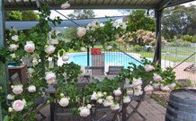 Valley View Motel Murrurundi - Murrurundi - Hotel NSW 2