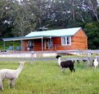Moorallie Cottage Farm Stay - Hotel NSW