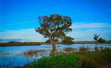 Morvern Valley Farm Stay Cottages - Hotel NSW 4
