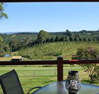 The Shed B and B - Hotel NSW