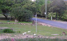 Calurla Chalets And Cottages - Hotel NSW 2