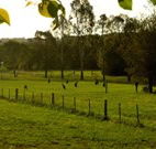 Stone Cottage Mittagong - Hotel NSW
