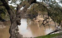 Valley View Cottage Hunter Valley - Hotel NSW 0