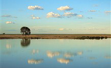 Valley View Cottage Hunter Valley - Hotel NSW 4