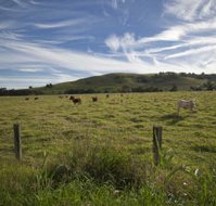 Annas Retreat - Hotel NSW