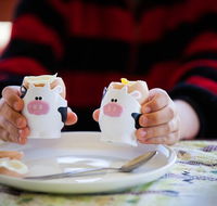 Cosy Cow Farmstay Bed and Breakfast - Hotel NSW