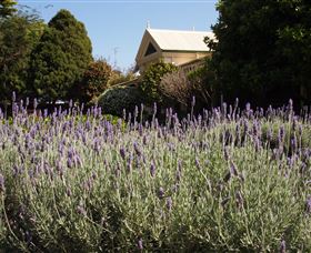 Vacy Hall Toowoomba's Grand Boutique Hotel Since 1873 - Hotel NSW 1