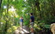O'Reilly's Rainforest Retreat - thumb 2