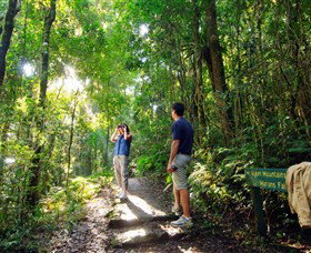 O'Reilly's Rainforest Retreat - Hotel NSW 2