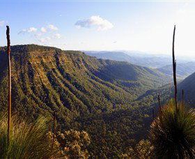 O'Reilly's Rainforest Retreat - Hotel NSW 3