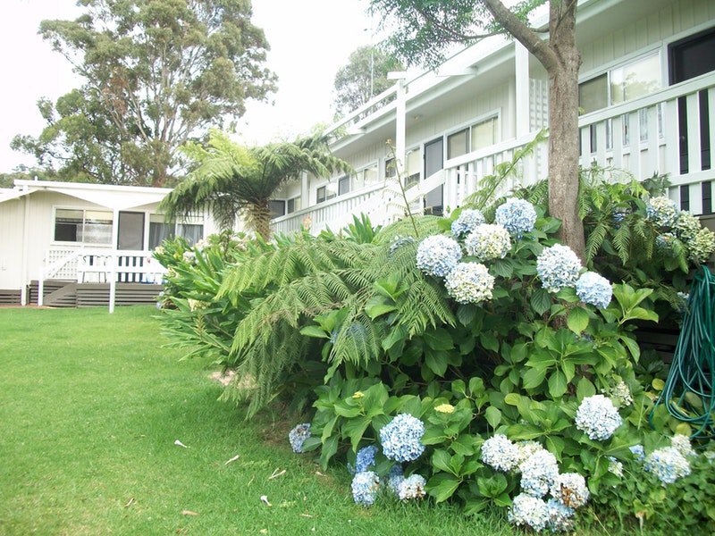 Millingandi NSW Hotel NSW