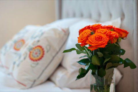 The Nest At Gundaroo - Hotel NSW 0