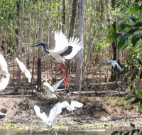 Rakhi Retreat - Hotel NSW