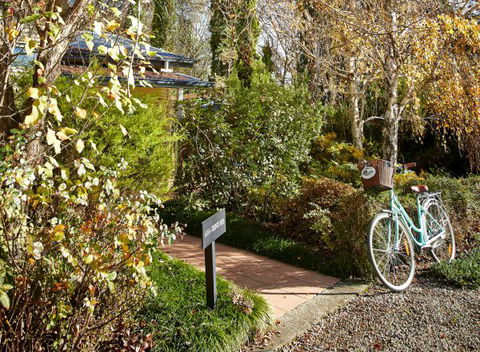 Pizzini's Vineyard Guesthouse - Hotel NSW 5