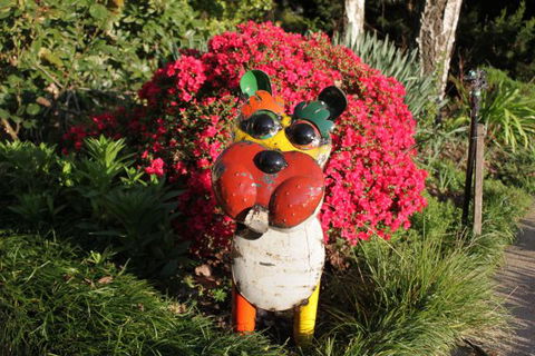 Pizzini's Vineyard Guesthouse - Hotel NSW 7