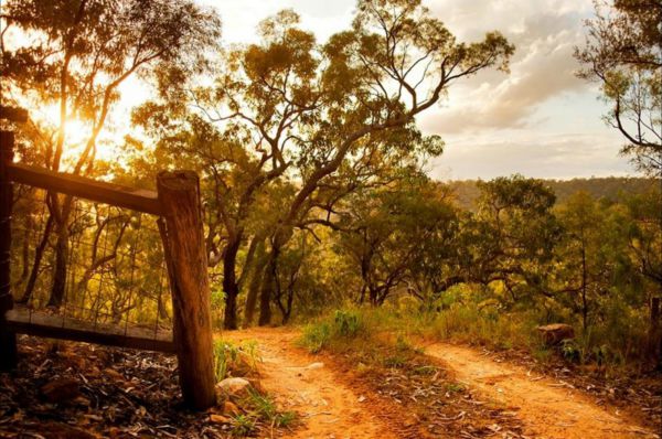 Blaxlands Ridge NSW Hotel NSW