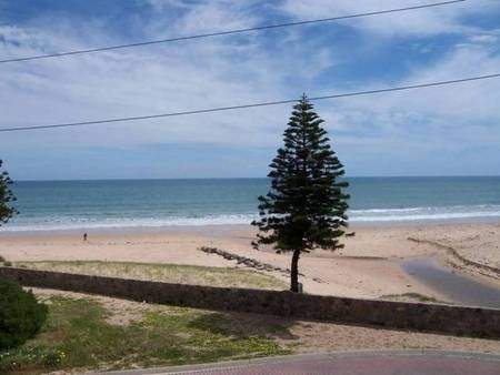 Christie's Seahorse - Hotel NSW 1