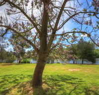 Breakaway Twin Rivers Caravan Park - Hotel NSW