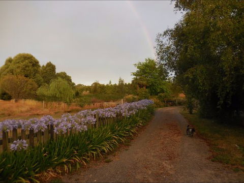 Bunjil Farm - Hotel NSW 5