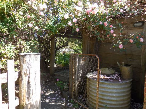 Bunjil Farm - Hotel NSW 7