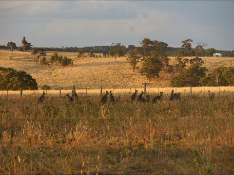 Bunjil Farm - Hotel NSW 8