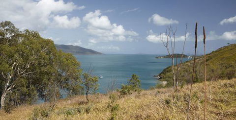 Molle Island National Park (Whitsundays National Park) Camping Ground - Hotel NSW 1