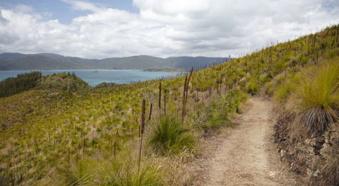 Molle Island National Park (Whitsundays National Park) Camping Ground - Hotel NSW 2