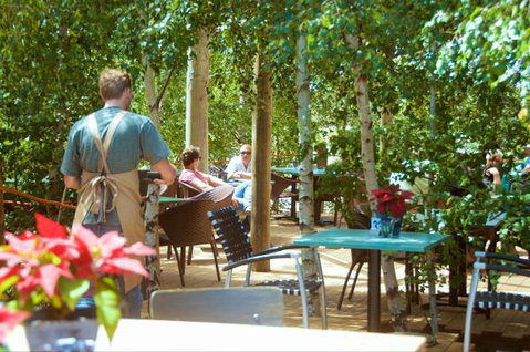 Oakdene Vineyards Guesthouse - Hotel NSW 5