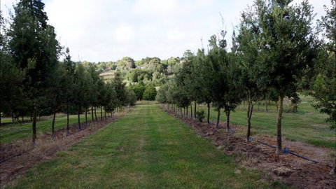 Oakhill Cottage - Hotel NSW 6