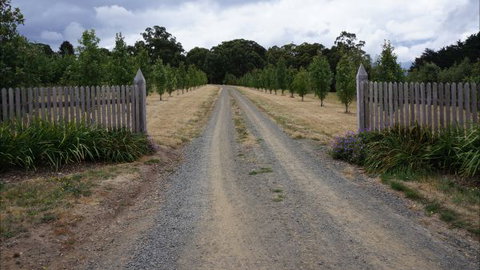 Oakhill Cottage - Hotel NSW 7