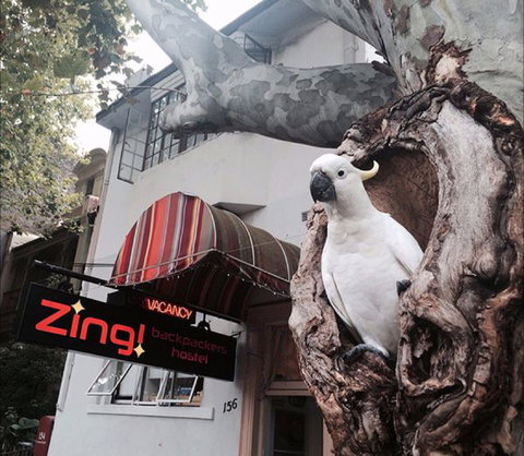 Zing! Backpackers Hostel - Hotel NSW 0