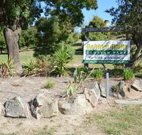 Adelong Golden Gully Caravan Park - Hotel NSW