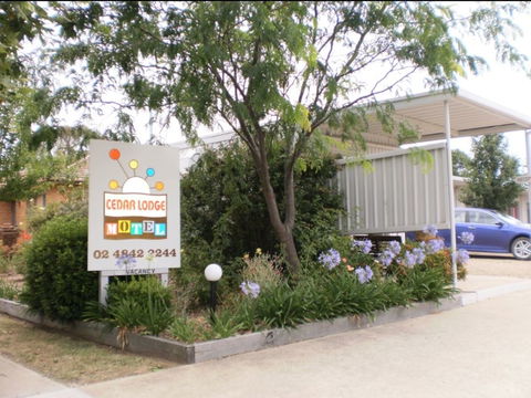 Cedar Lodge Motel - Hotel NSW 0