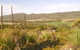 Nyroca Campsite & Group Accommodation - thumb 0