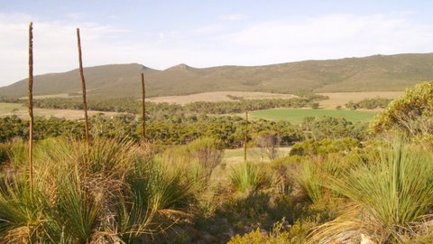 Nyroca Campsite & Group Accommodation - Hotel NSW 0