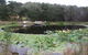Murrah Luxury Holiday Accommodation - thumb 8