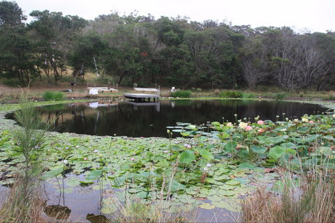 Murrah Luxury Holiday Accommodation - Hotel NSW 8