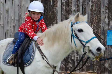 Narnu  Farm (Farm Stay/ School Camp) - Hotel NSW 1